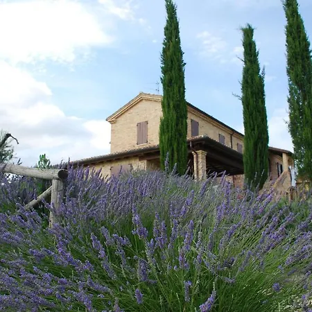 Oda ve Kahvaltı Tenuta Sol Alto Monsampolo Del Tronto