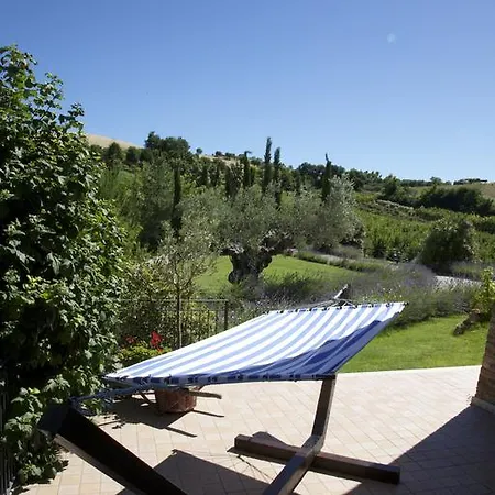 Tenuta Sol Alto Monsampolo Del Tronto