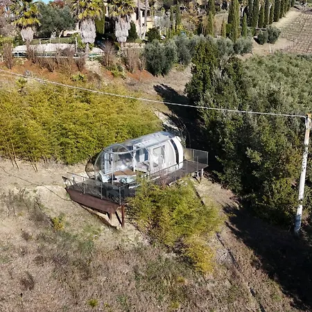 Tenuta Sol Alto فندق مبيت وإفطار Monsampolo Del Tronto