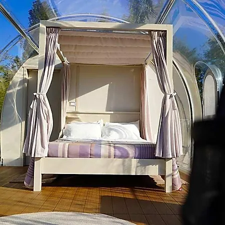 Bed & Breakfast Tenuta Sol Alto 4*